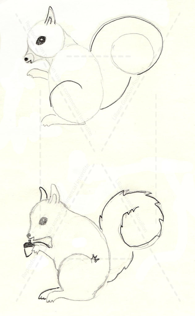 Tutoriel enfants, dessiner un écureuil