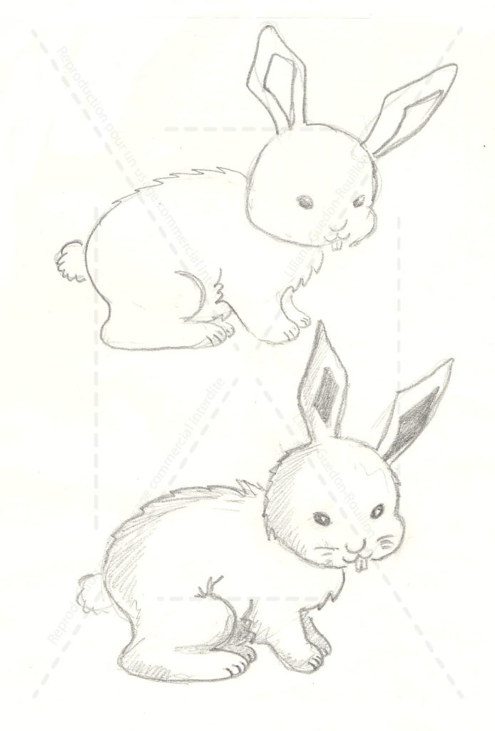 Tutoriel enfants, dessiner un lapin