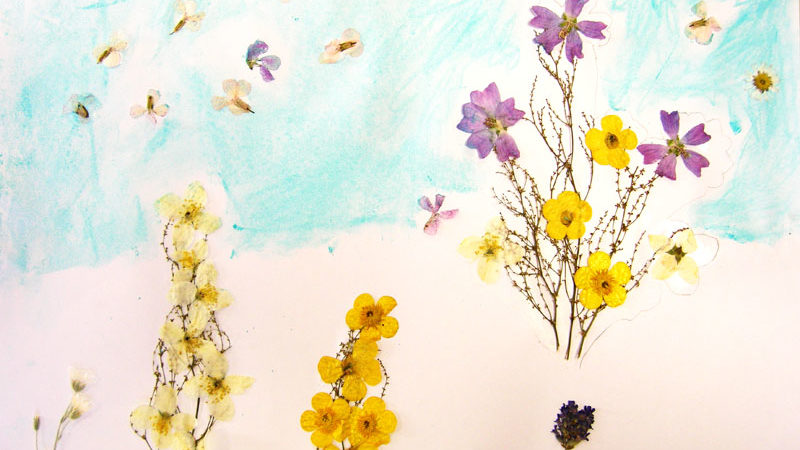 Feuilles et fleurs séchées cours dessin peinture enfants lubersac 6