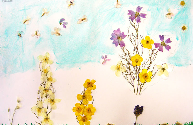Feuilles et fleurs séchées cours dessin peinture enfants lubersac 9