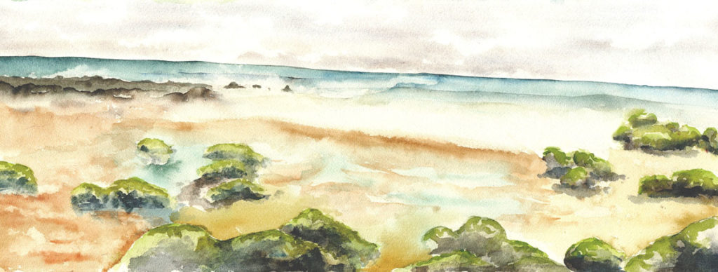 Illustration à l'aquarelle