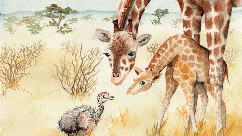 illustration aquarelle Autruchon et girafon 2