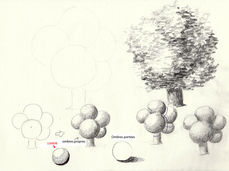 Tutoriel, dessiner les arbres