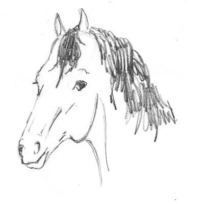 Dessiner une tête de cheval