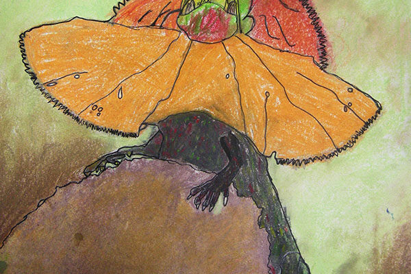 dessin lézard pastel enfants cours lubersac