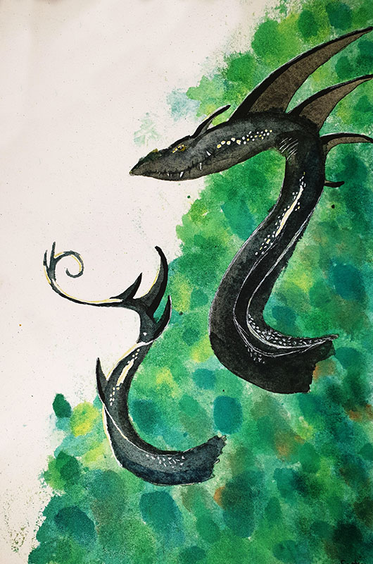 dragon aquarelle treignac