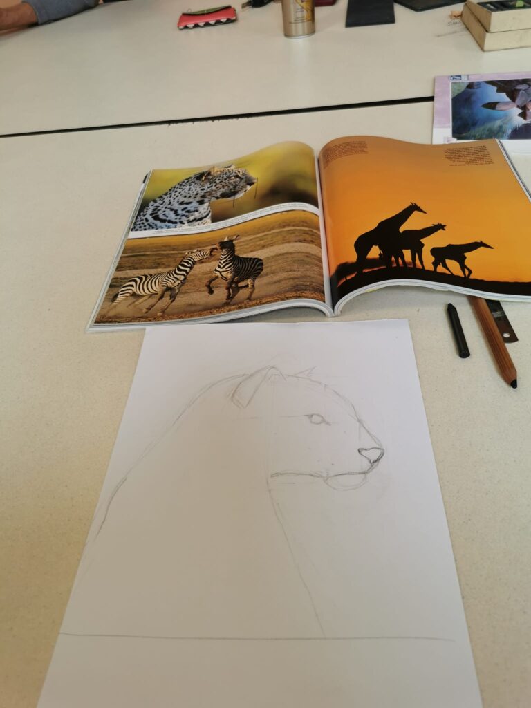 leopard graphite la croisille 14 juin