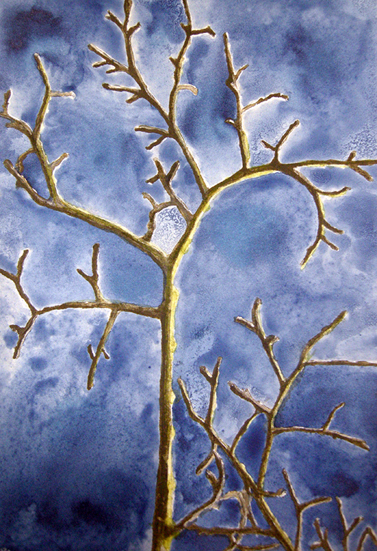 branche d arbre a l encre cours dessin peinture treignac