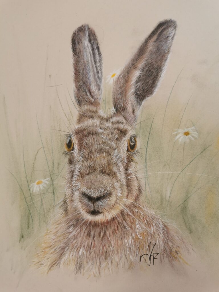 lapin aus crayons pastel cours dessin adulte la croisille
