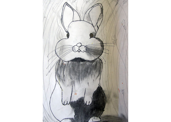 lapin fusain dessin enfant