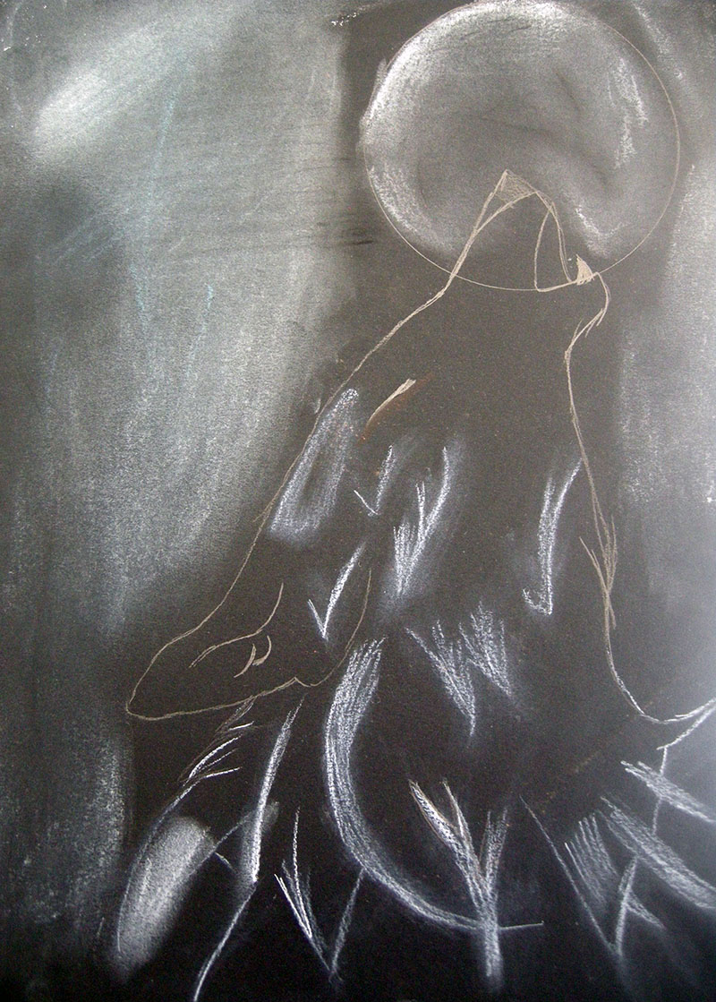 creations formation aux mediations artistiques etudiants polaris limoges (6)