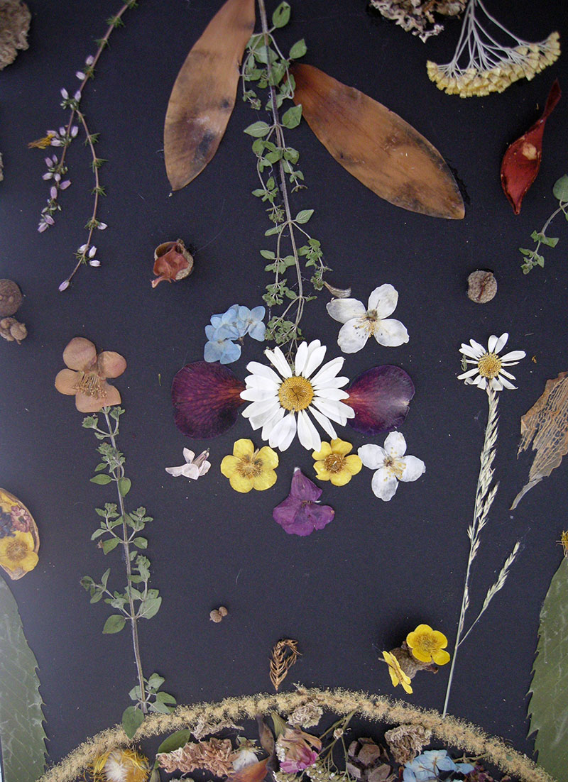 creations formation aux mediations artistiques etudiants polaris limoges (7)