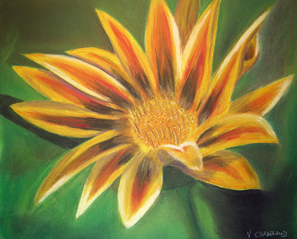 cours dessin adolescents masseret (3)