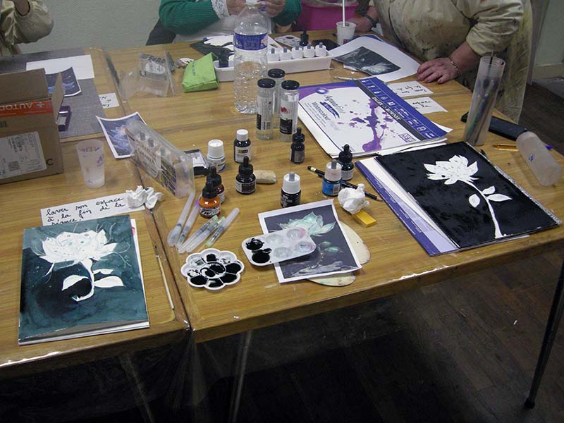 fleurs a l encre cours dessin peinture uzerche (1)