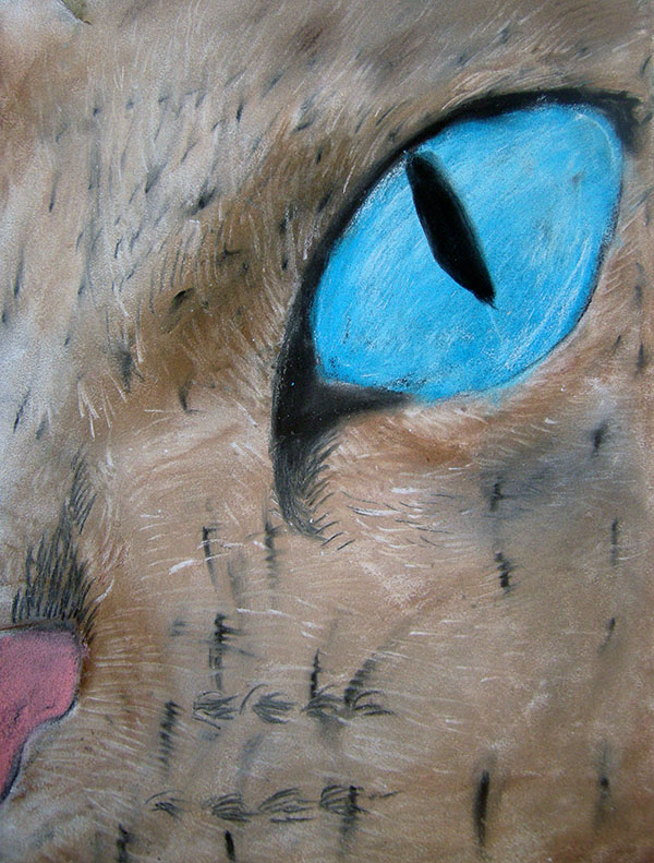 oeil de chat aux pastels secs enfants lubersac (1)