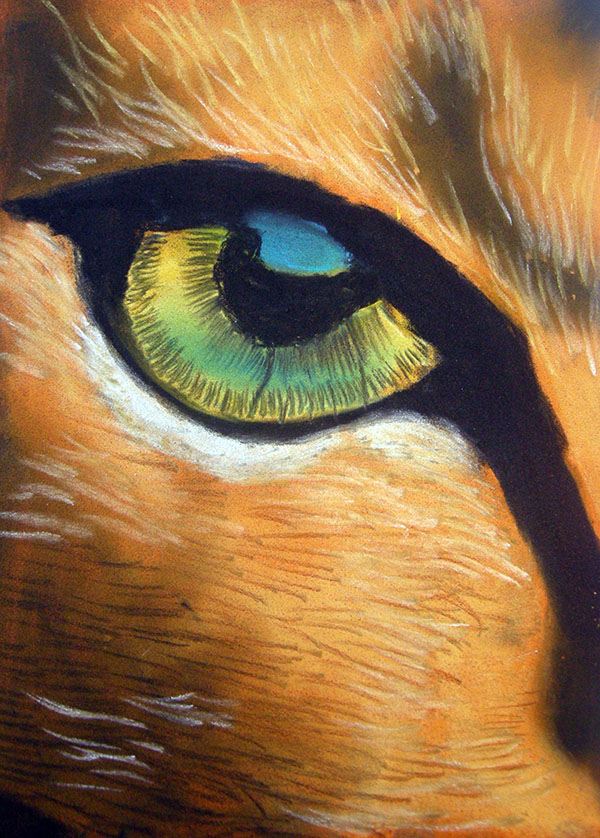 oeil de chat aux pastels secs enfants lubersac (2)