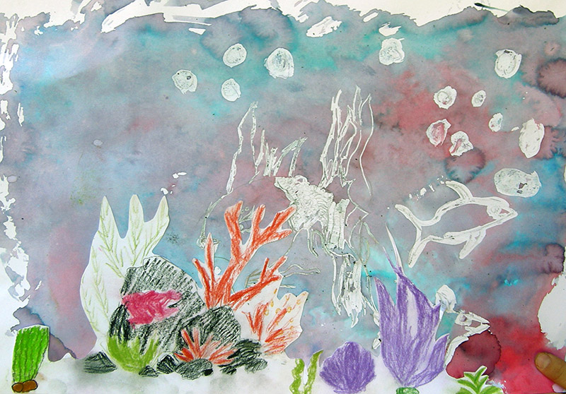 atelier animaux aquatiques encre bugeat (8)